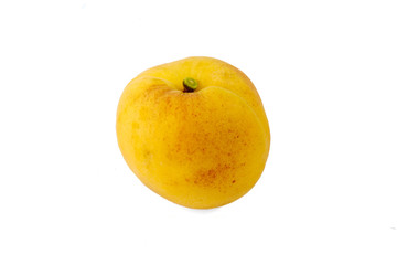 apricot isolated on a white background
