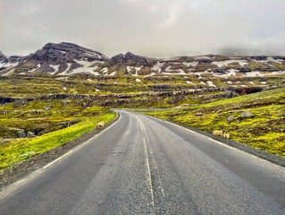Naklejka premium Strasse in Island mit Schafen