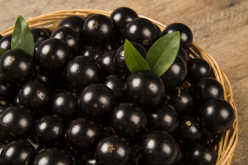 Berry Jaboticaba in bowl on wooden table