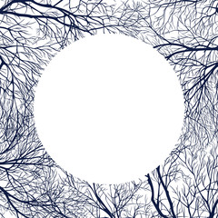 Branches ebony intertwined. Can be used as background.