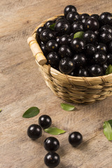 Berry Jaboticaba in bowl on wooden table