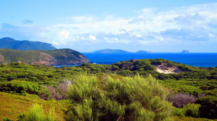 Naklejka premium Wilson Promontary