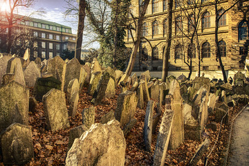 Prag Friedhof Sonne