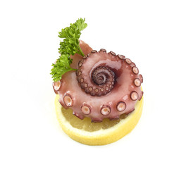 Pulpofangarm galicische Art