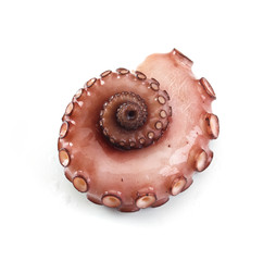 Pulpofangarm