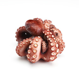 gekochter Pulpo