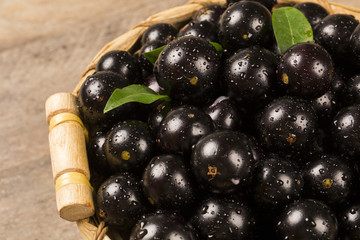 Berry Jaboticaba in bowl on wooden table