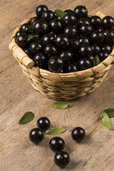 Berry Jaboticaba in bowl on wooden table