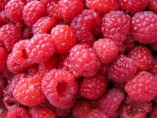 Fresh juicy raspberries closeup