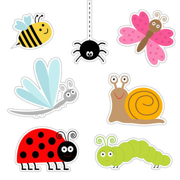 Cute cartoon insect sticker set. Ladybug dragonfly butterfly caterpillar spider snail. Isolated. Flat design
