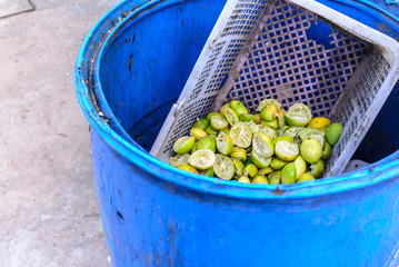Discarded lemon peel in blue trashcan.