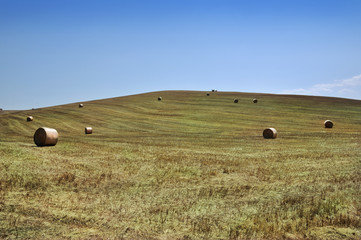 Obraz premium Campo con balle di fieno