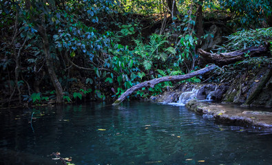 Timber in waterfall