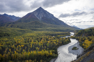 In Distance/ Fall color in Alaska