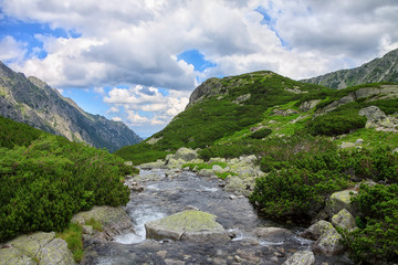Fototapeta na wymiar View to mountain river, green pine trees and rocky peaks 