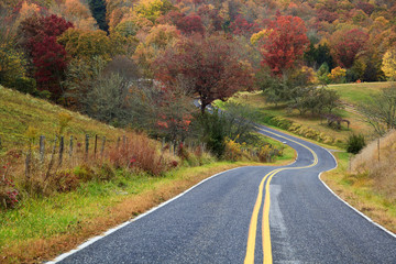 Winding Road in the Fall Season