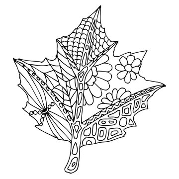 Hand drawn Zentangle vector pattern on white background. Use for cards, invitation, walpapers, pattern fills, web pages elements and etc.