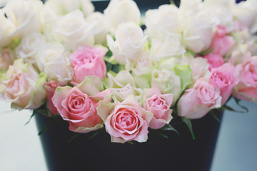White and pink roses. Haze and soft focus image
