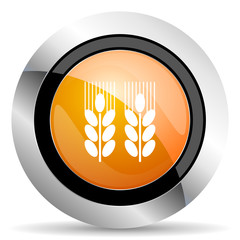 agricultural orange icon