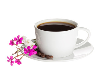 Coffee cup and wild carnation flowers