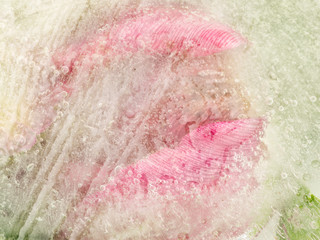 Delicate pink-green abstraction