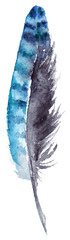 Watercolor blue jay feather black blue vector isolated
