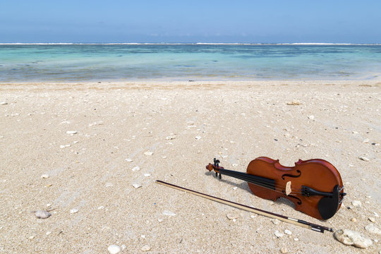 Violin at the seashore