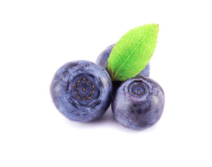 Blueberries on a white
