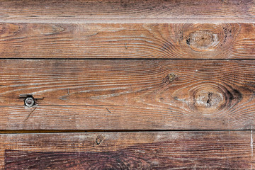 Naklejka premium Wood texture
