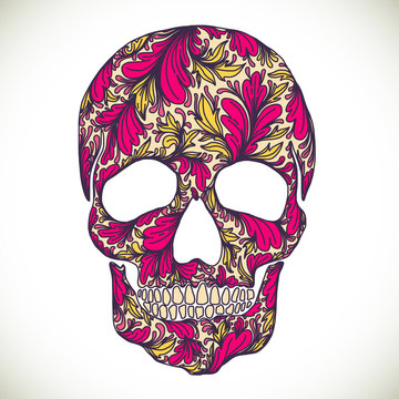 Vector illustration with Hand Drawn Skull. 