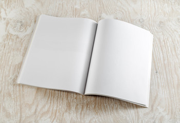 Blank opened book