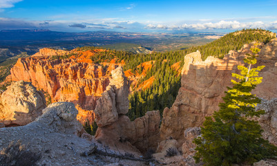 Ponderosa Canyon lid by Beautiful Sunset light
