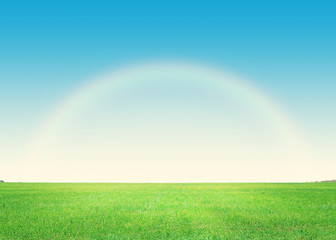 Fototapeta na wymiar Green grass field and deep blue sky with rainbow