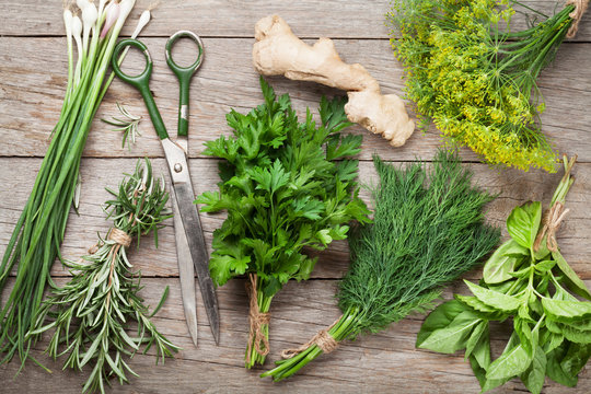 Fresh Garden Herbs