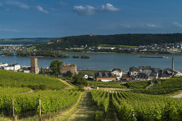 Fototapeta na wymiar Rüdesheim am Rhein mit der Boosenburg und Weinbergen