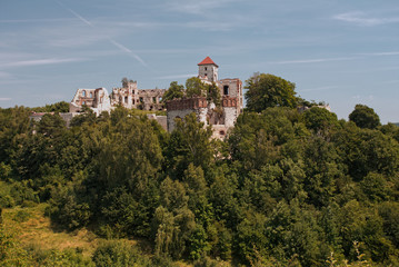 Fototapeta na wymiar Zamek W Tenczynku - Jura Krakowsko-Częstochowska - Krajobraz