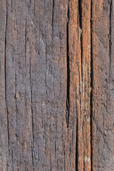 Old Weathered Cracked Rotten Wooden Railway Sleeper Coarse Surface, with Lichen and Fungi Growth.