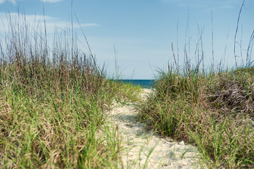 Path through dunes to the Atlantic ocean