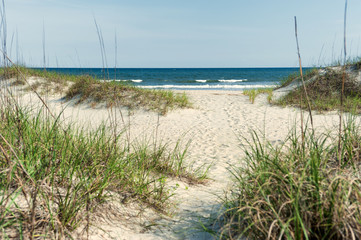 Path through dunes to the Atlantic ocean