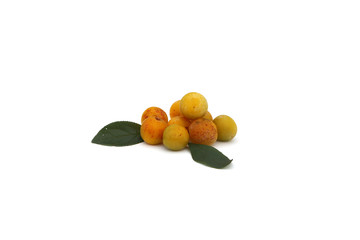 Prunes
