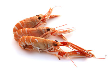 Langoustes