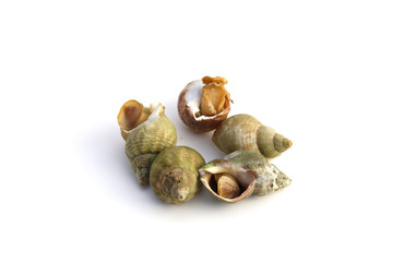 Fruits de mer