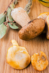  Mushrooms chanterelles and  boletus on wooden background.