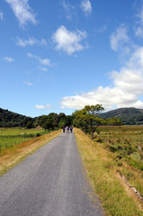 Fototapeta na wymiar The Mawddach Trail near Dolgellau in Snowdonia.