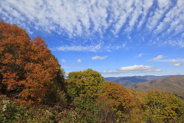 Blue Ridge Mountains in NC