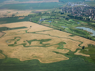 Campo di grano dall'Alto
