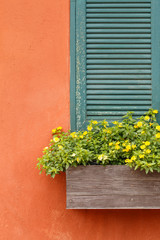 Fototapeta na wymiar Half of Window with flower box and orange wall