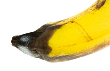 Rotting banana close view