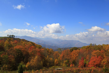 View from Max Patch Road in the North Carolina mountains in autumn