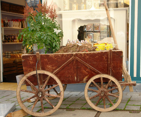 Cart with a plant